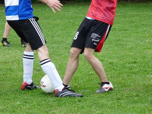 而郑钦文则 而郑钦文则