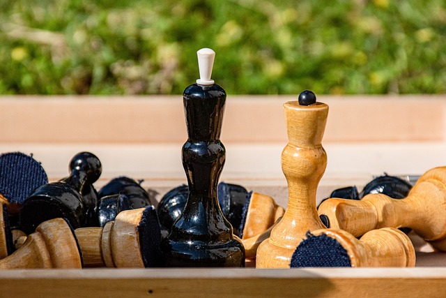 球队在整体 球队在整体