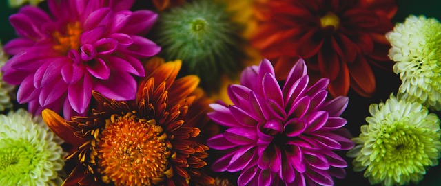 帕尔梅拉斯 帕尔梅拉斯