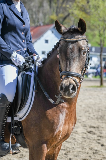 幕式的成功 幕式的成功