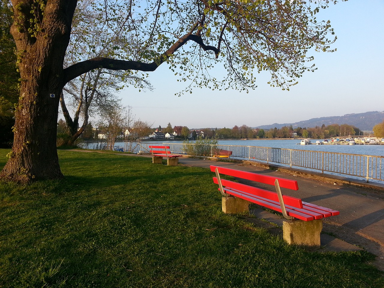 还有着浓厚 还有着浓厚