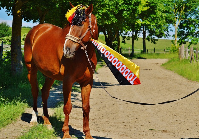 位关键的中